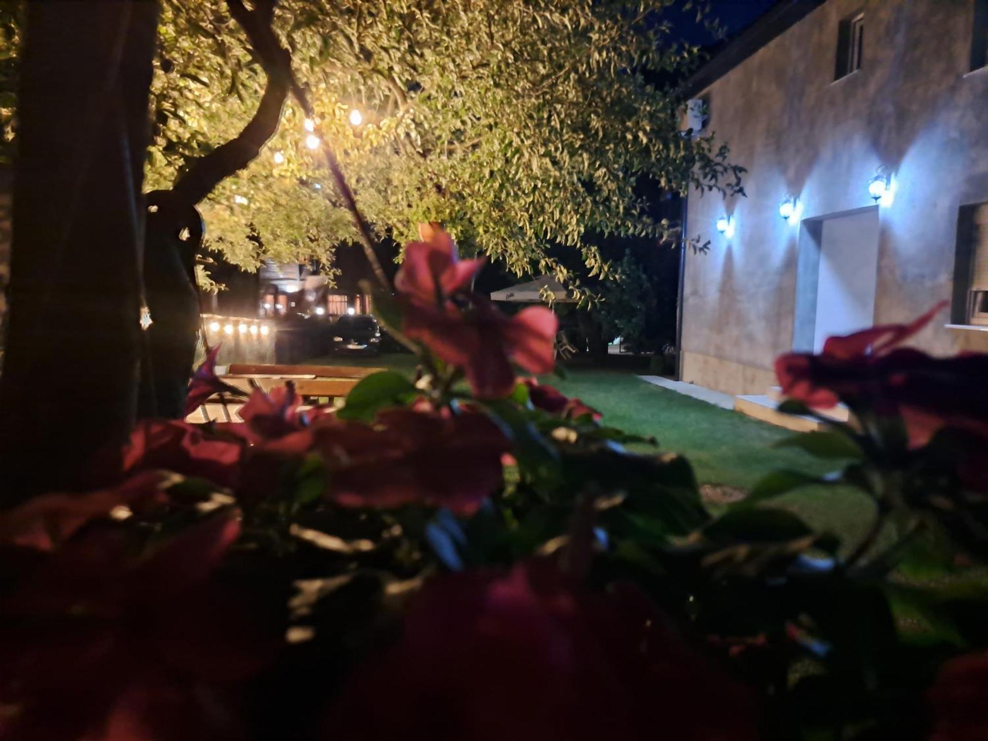 Rooms Lida & Friendly Home Plav Bagian luar foto